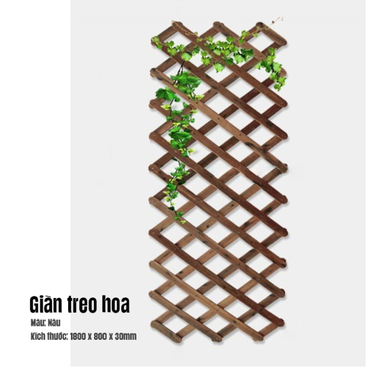 Giào treo hoa 3K